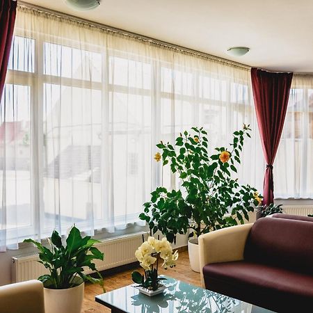 סיביו Hotel Eden מראה חיצוני תמונה